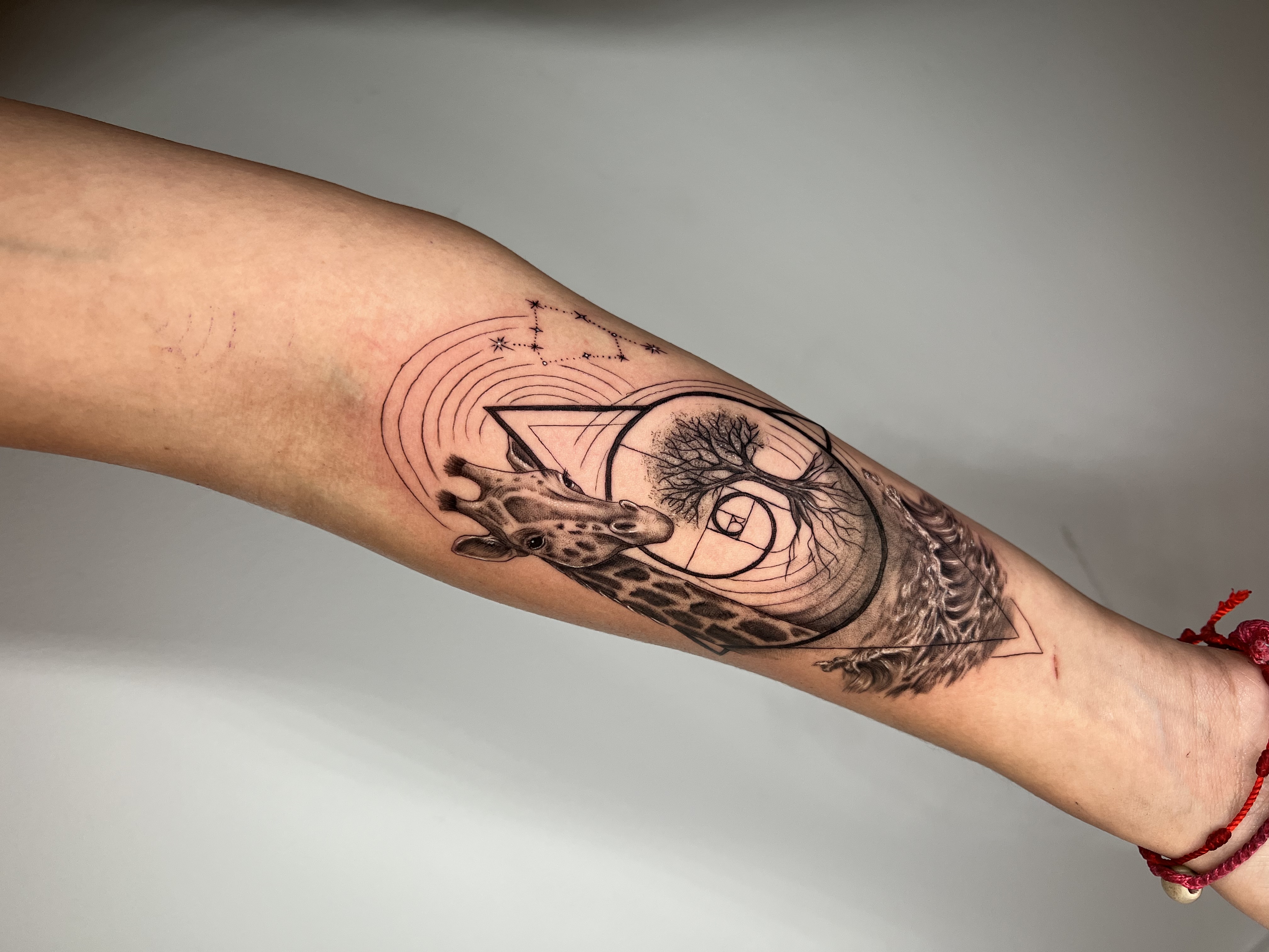 Tattoo (blackwork) bw_008