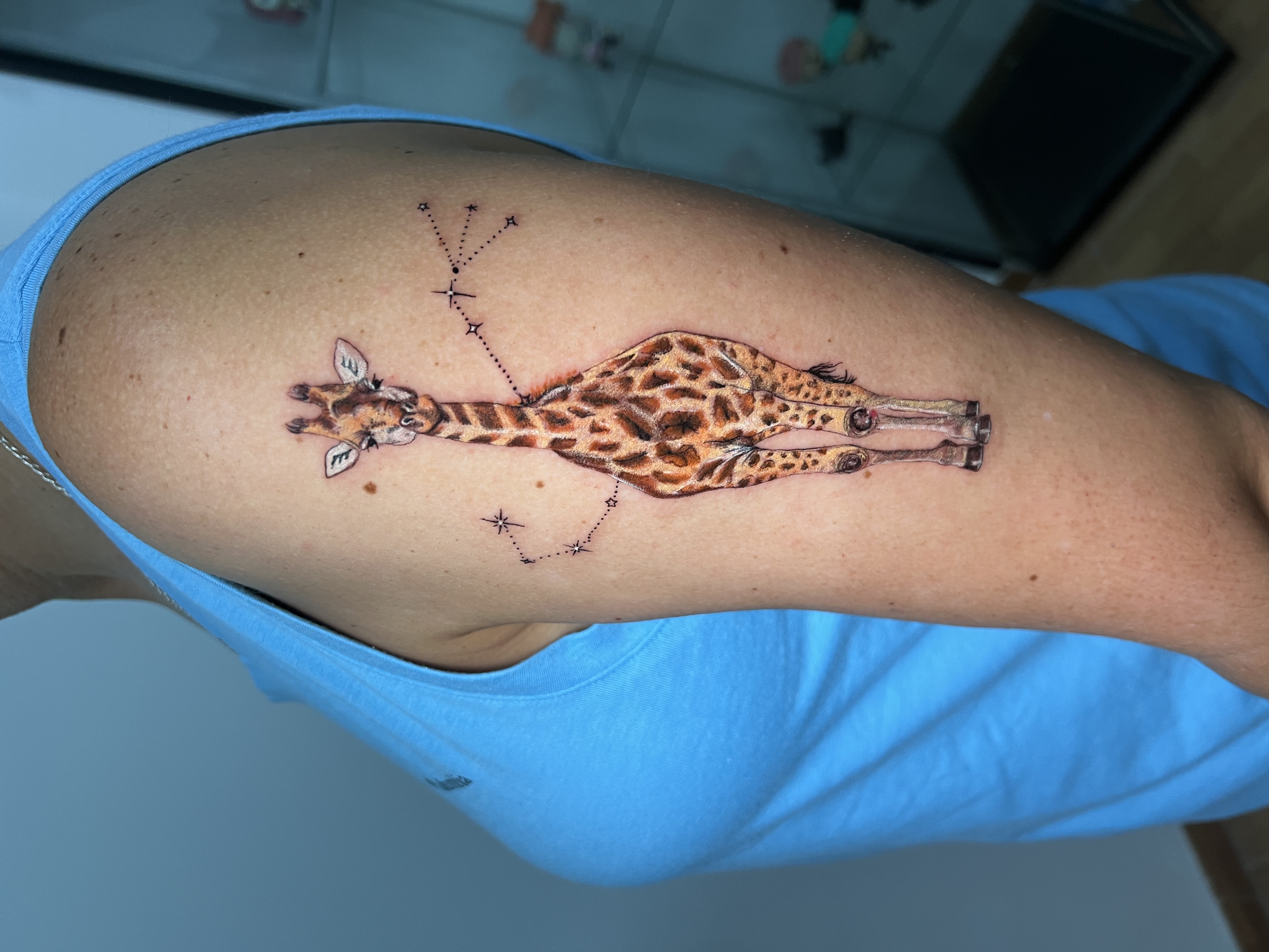 Tattoo (color) co_022