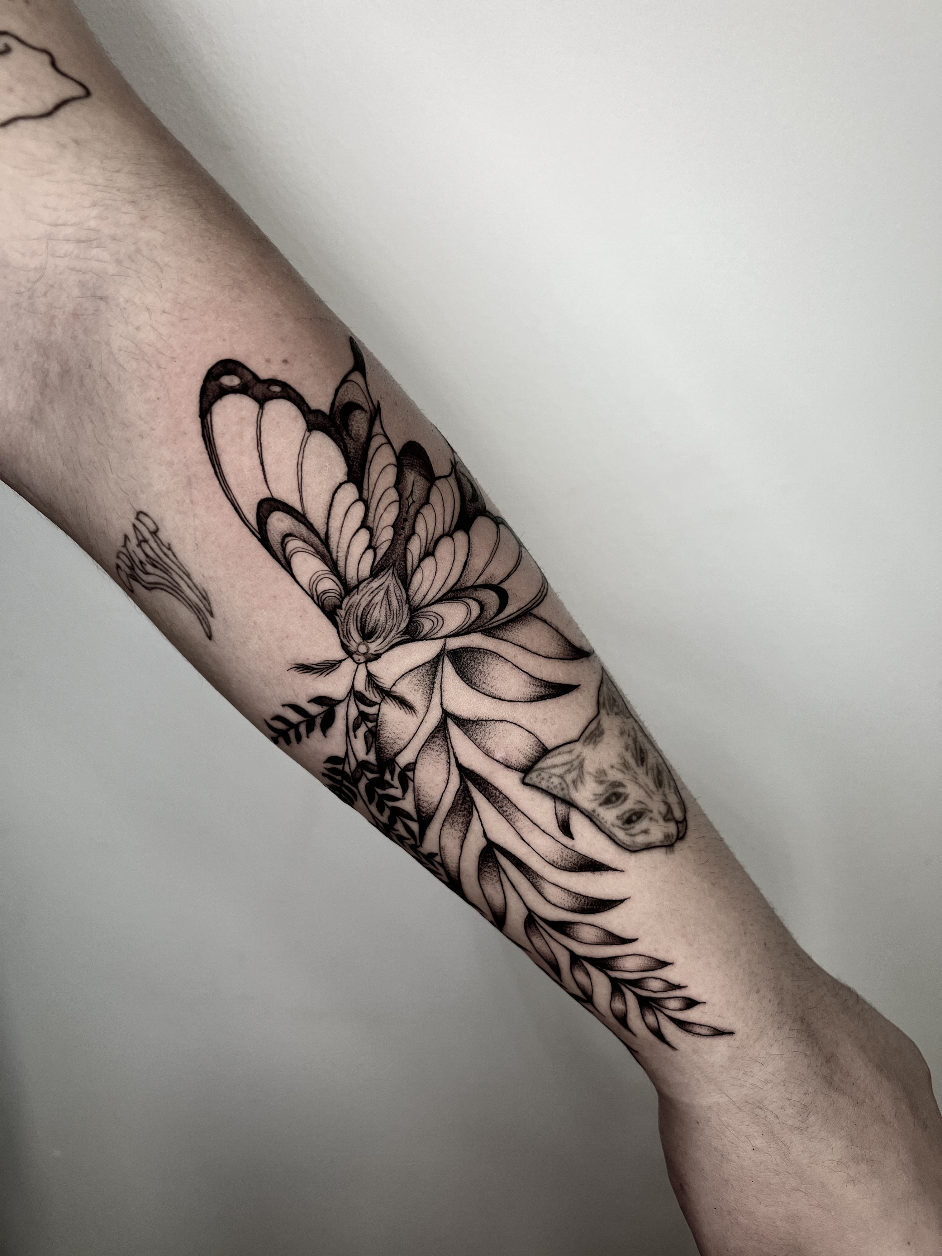 Tattoo blackwork mariposa