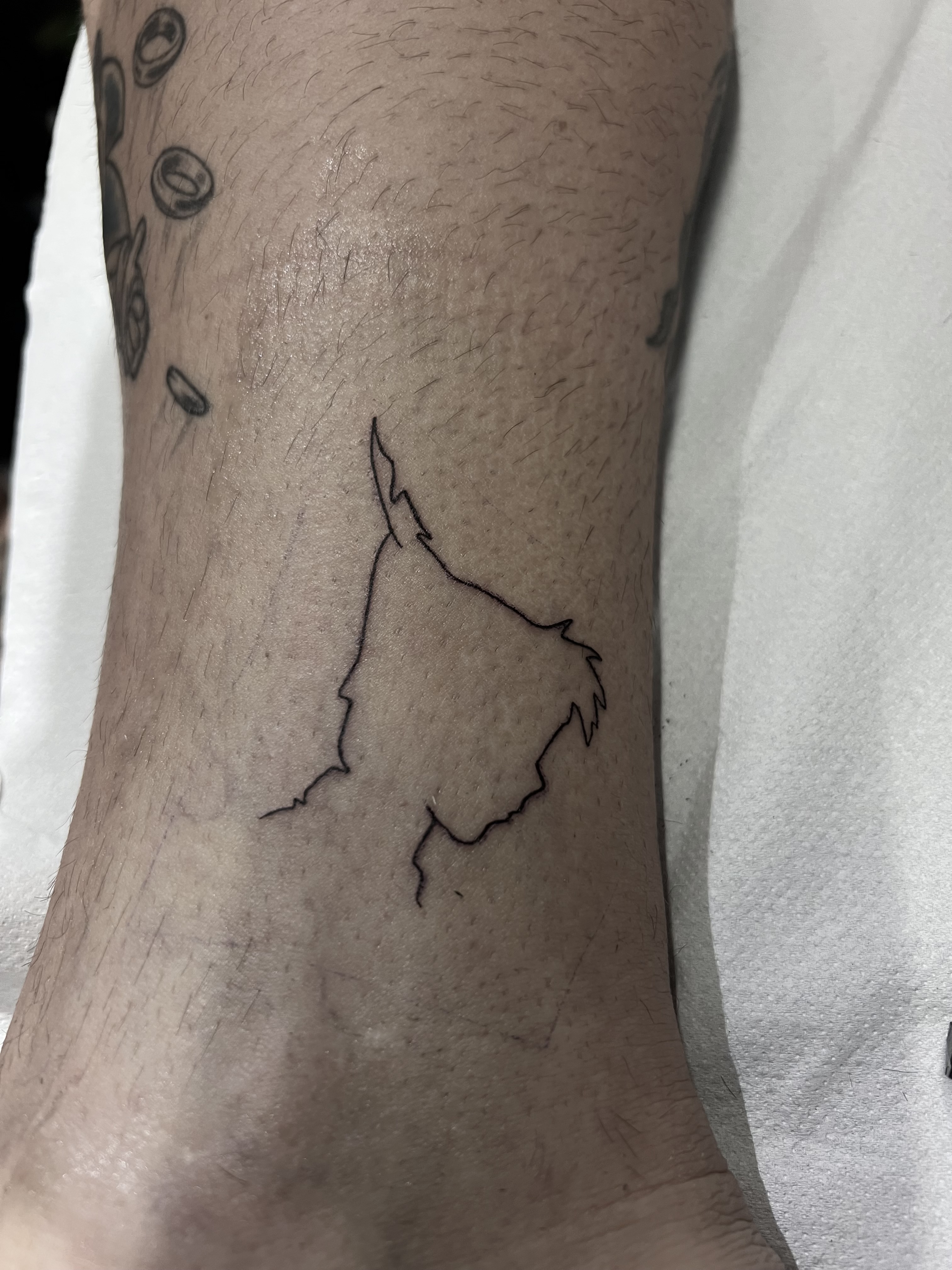 Tattoo (fine-line) fl_005