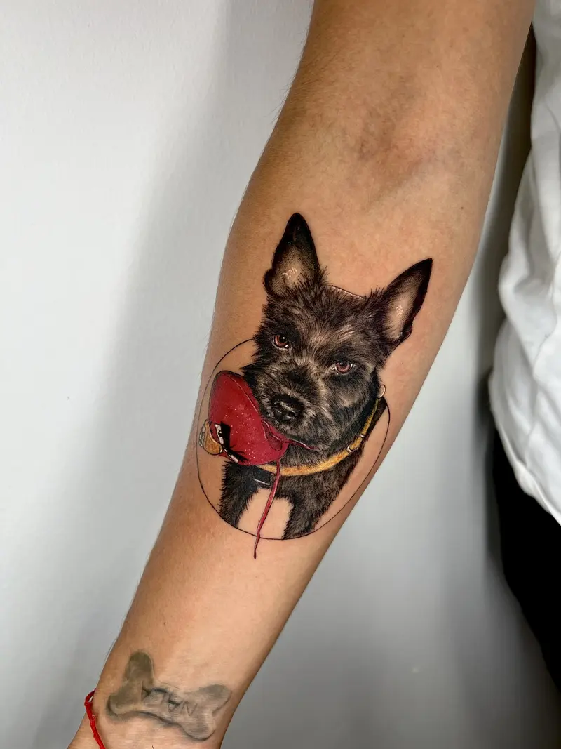 Retrato realista de un perro con un juguete rojo en la boca, realizado a color con gran nivel de detalle.