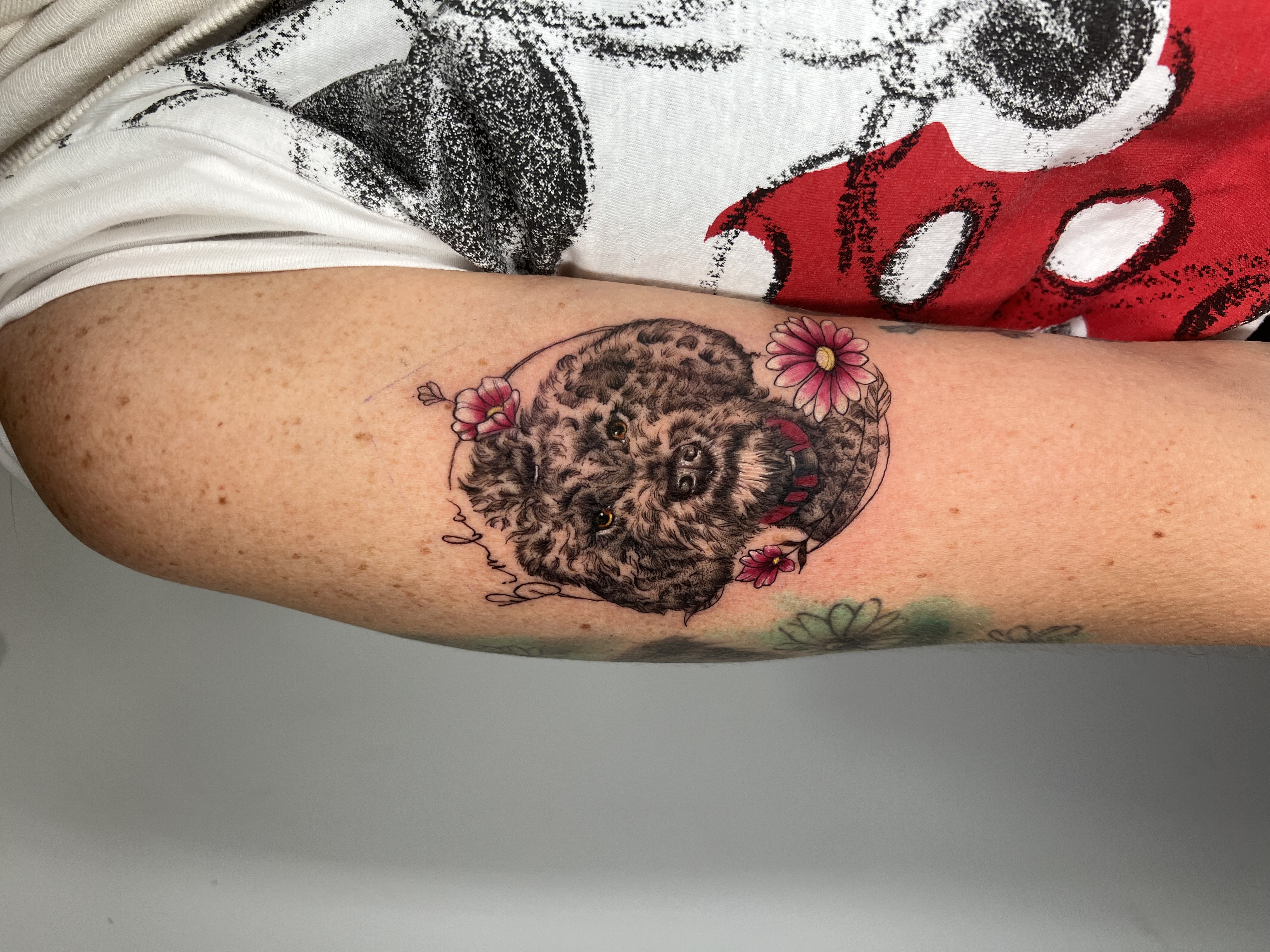 Tattoo (varios) va_002