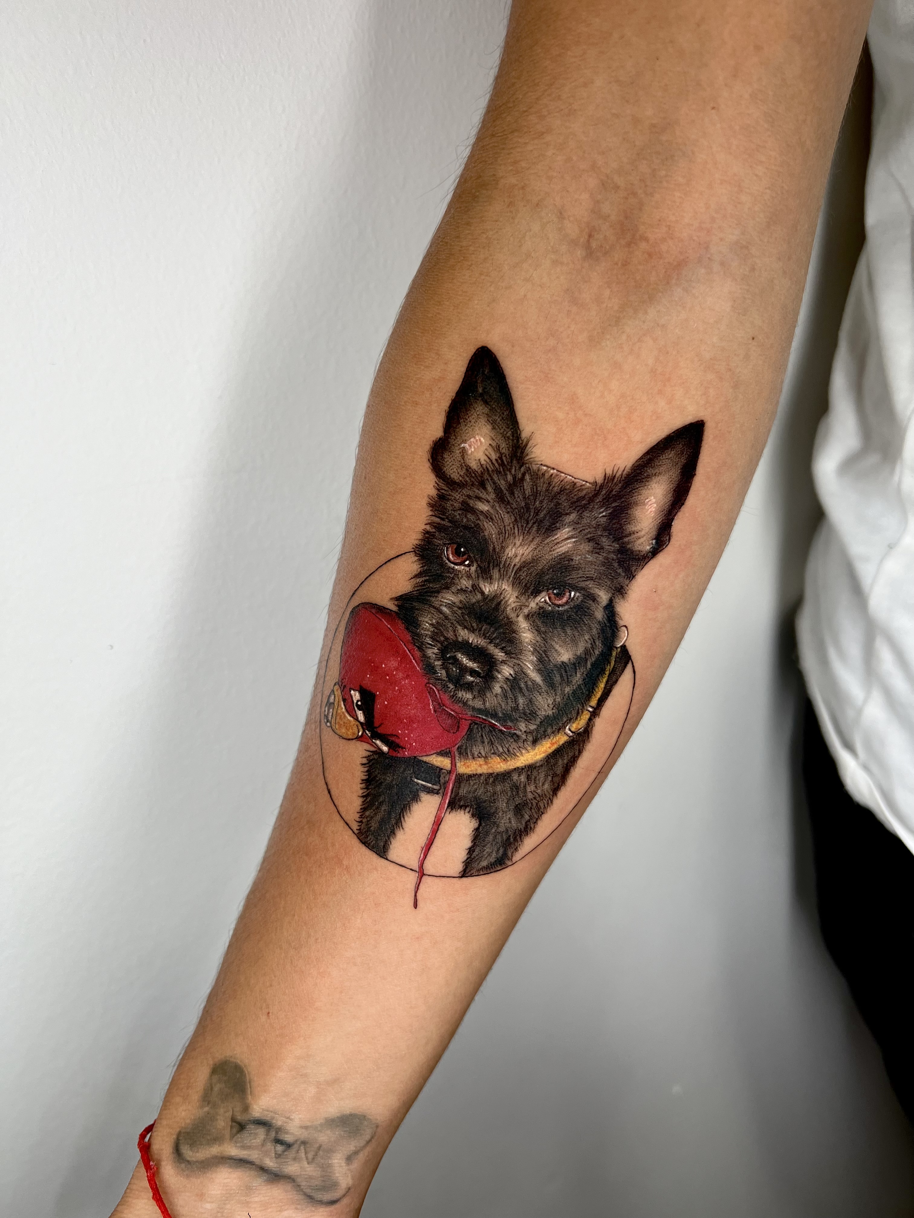 Tattoo (varios) va_003